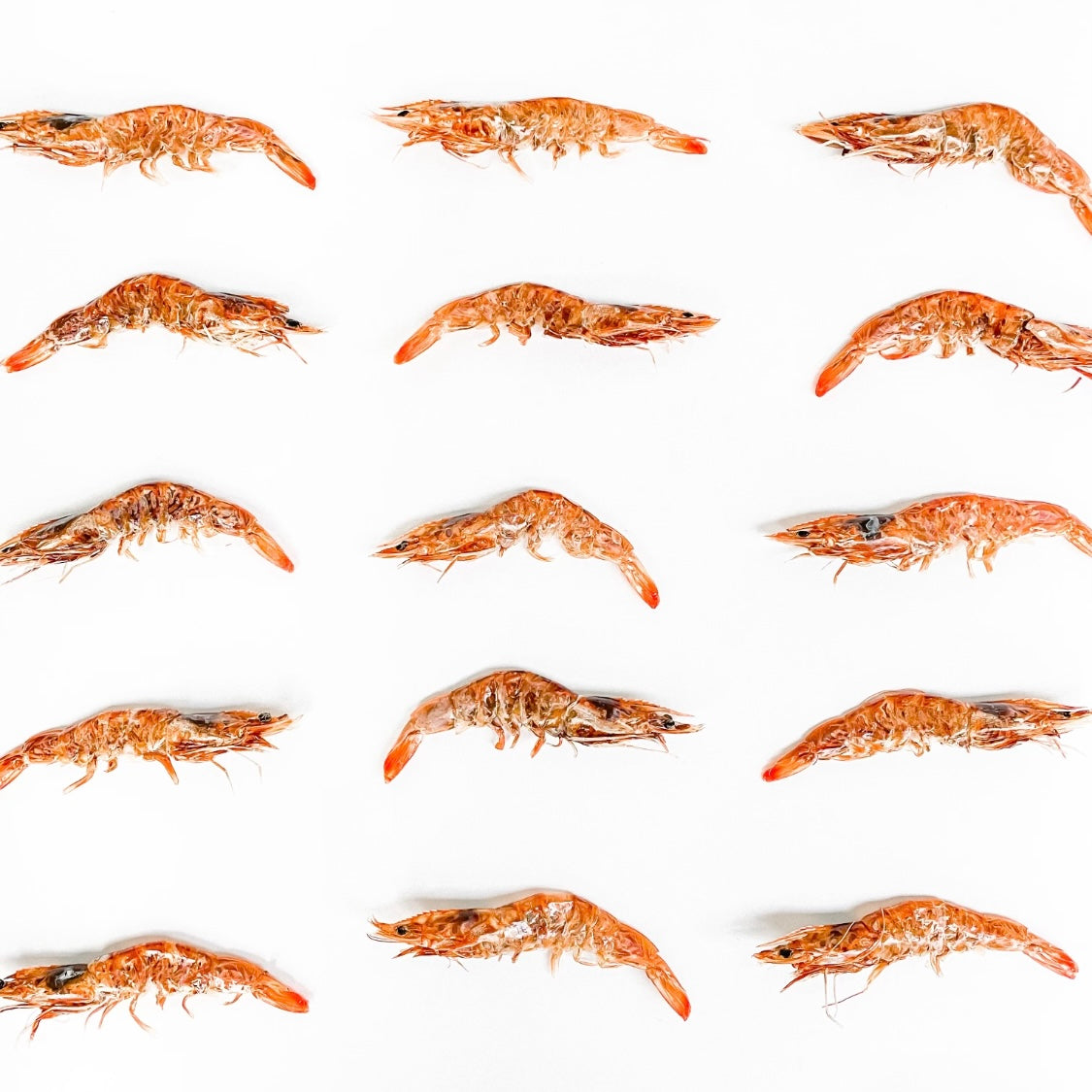 Coopmonsters - Shrimp Chips – The Public Pet