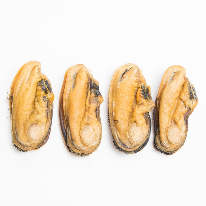 Kuku Shellfish The Public Pet